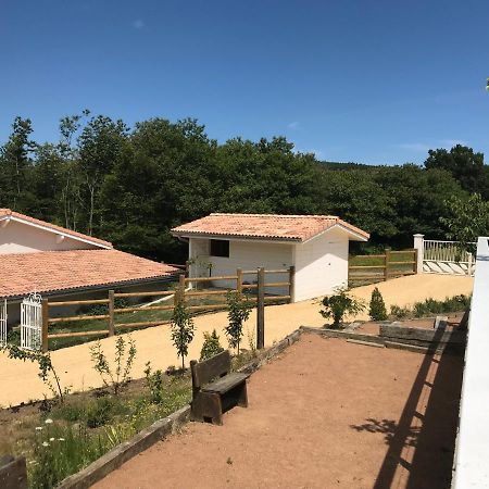 Domaine Du Mont Monnet - Chambre D'Hotes & Gite Longes Exteriör bild